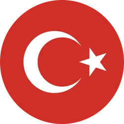 Türkçe